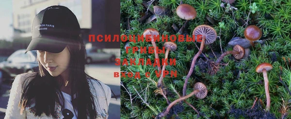 PSILOCYBIN Остров