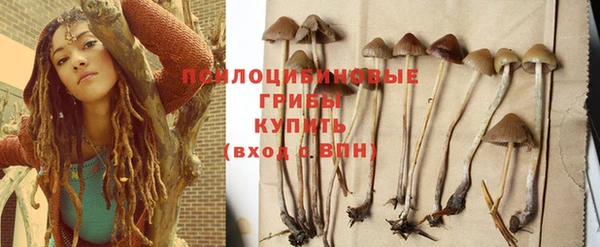 PSILOCYBIN Остров