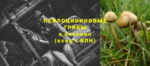 PSILOCYBIN Няндома