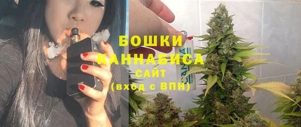 PSILOCYBIN Остров