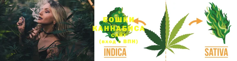 Конопля Bruce Banner  закладки  Карачев 